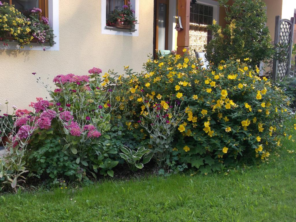 Apartamento Haus Margit Schlierbach Exterior foto